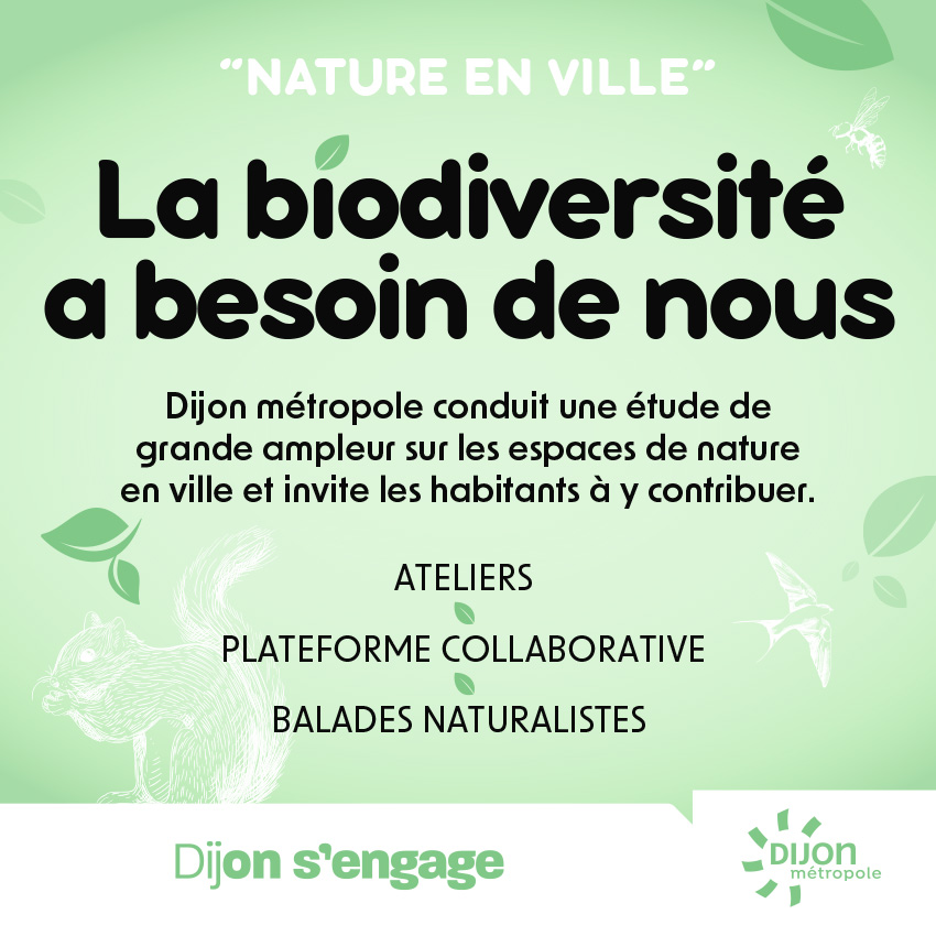 🐝Dijon métropole invite les citoyens curieux à contribuer à une étude sur la biodiversité urbaine en partageant leurs observations. 1ère réunion MERCREDI 15 MAI À 18H30 • Jardin de l’Arquebuse, Grande Orangerie • DIJON #ecologie
👉Tous les détails : dijon-metropole.fr/dijon-metropol…