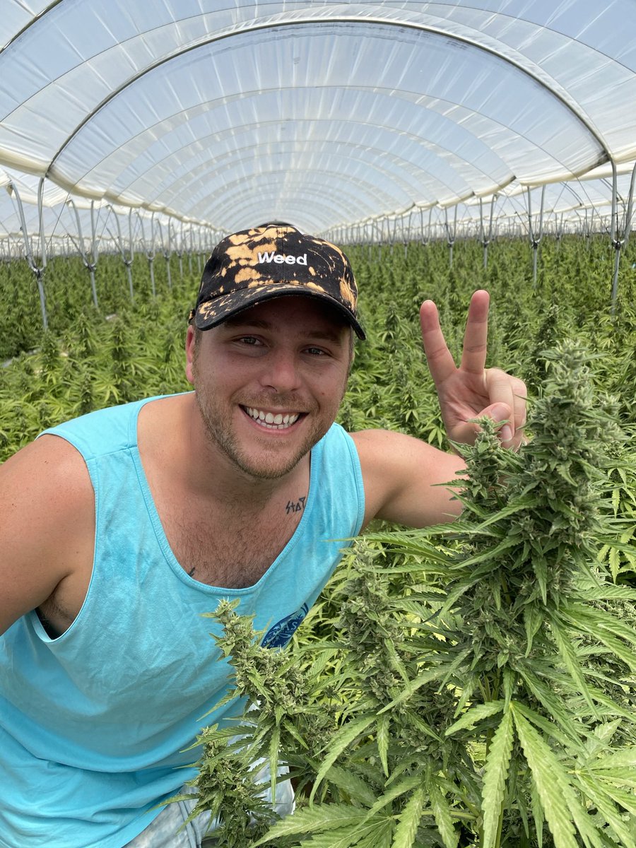 Great day at the farm 🌱 💨
#CannabisCommunity #cannabisculture #cannabisdaily #StonerFam