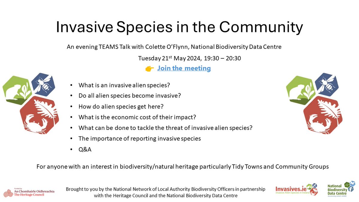 Our Invasive Species Officer will give a talk on Tuesday 21 May, as part of Invasive Species Week. Find link to webinar here 👉invasives.ie/what-can-i-do/… #INNSweek #InvasivesIE #ReportInvasives @HeritageHubIRE