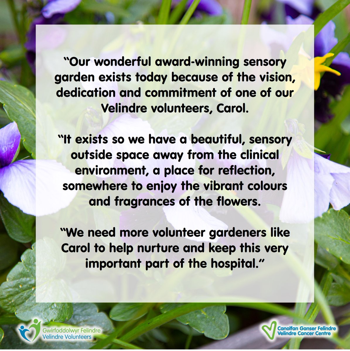 🌱 Do you have a passion for gardening? Could you help create and maintain welcoming and uplifting outdoor spaces for our patients and their families? If so, we’d love to hear from you! 😊 Apply at velindre.nhs.wales/velindrecc/ser…