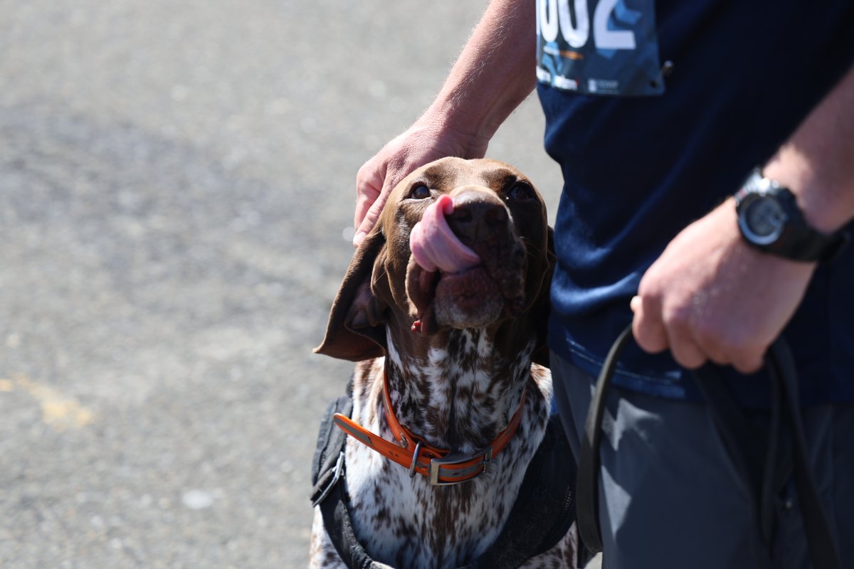“Pawsome” pups at this year’s @ODMP #NPW5K!  These furry heroes stole the show. #WorkingDogs #SupportAnimals #PoliceWeek2024 #BondWithYourDogDay