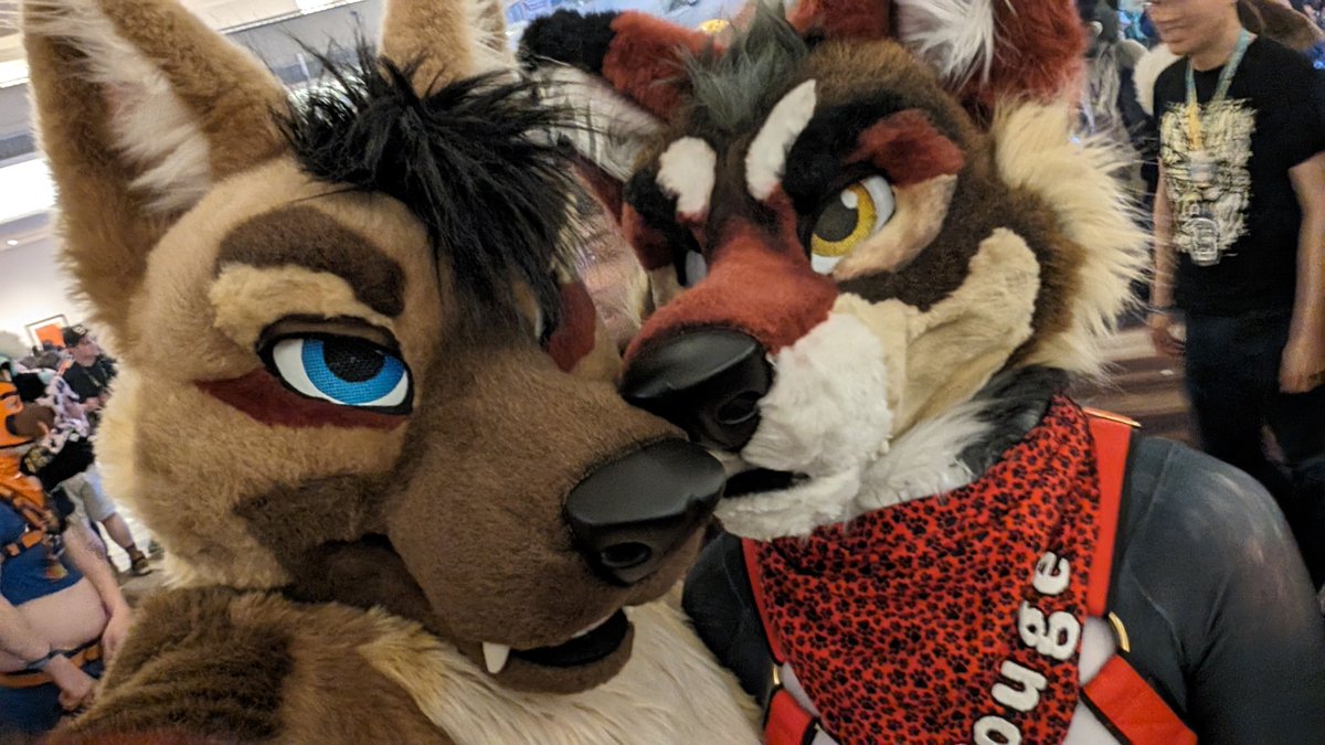 #FWA2024 post time! Been 7 years since my last and wow it's changed. I got to say hi to so many old friends and make new but still missed soo many, honestly one of the best weeks of my life in years and can't wait to do it again. Special thanks to <a href="/TheDizziest/">Dizz</a> and <a href="/NovaWolfy/">Nova</a>