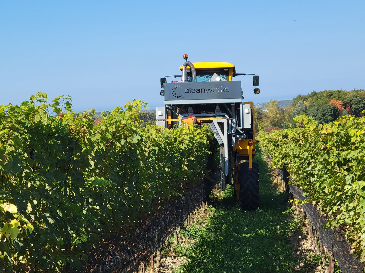 AAFC Canada tweet media