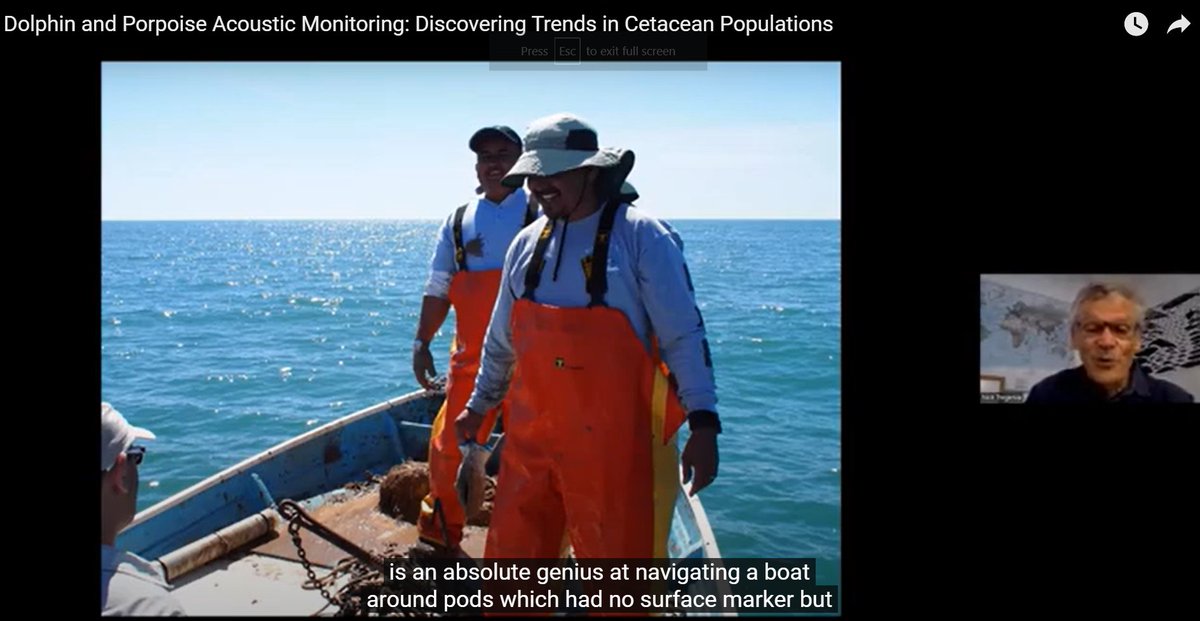 #Vaquita habitat = 'everything we hate in acoustic data - boat sonars, dolphins (which behave like porpoises sometimes), snapping shrimp, moving sand-but nevertheless the Mexicans who run this were able to get good data' 👂2 mins Nick Tregenza @CheloniaLtd youtu.be/KdpF28p51zs?si…