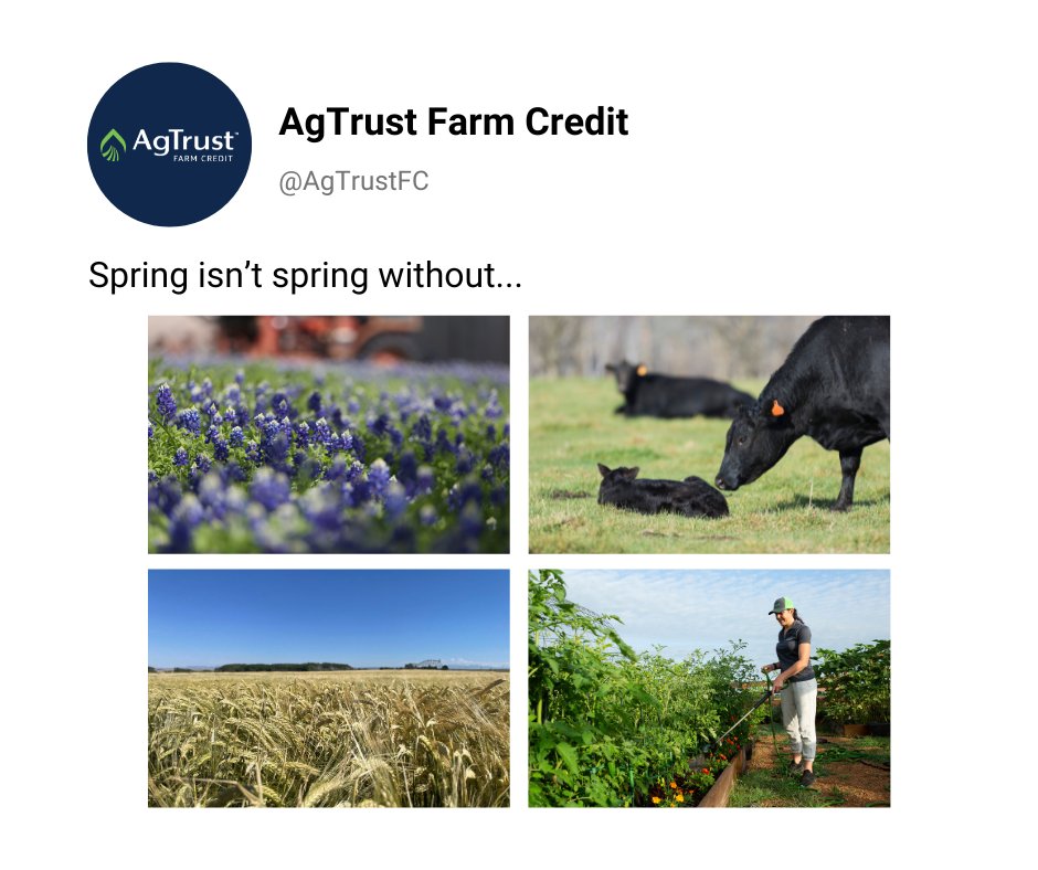 We think Spring isn't Spring without wildflowers, calves, growing crops, and gardens. What are some other things that Spring isn't Spring without? 
Drop them in the comments below! 👇👇
