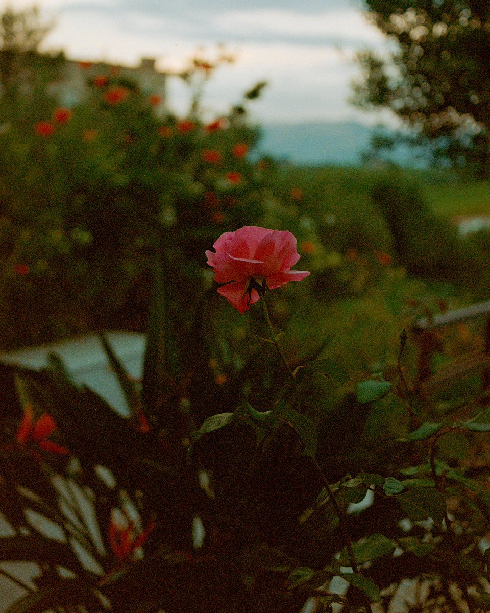 Sicily on 35mm film