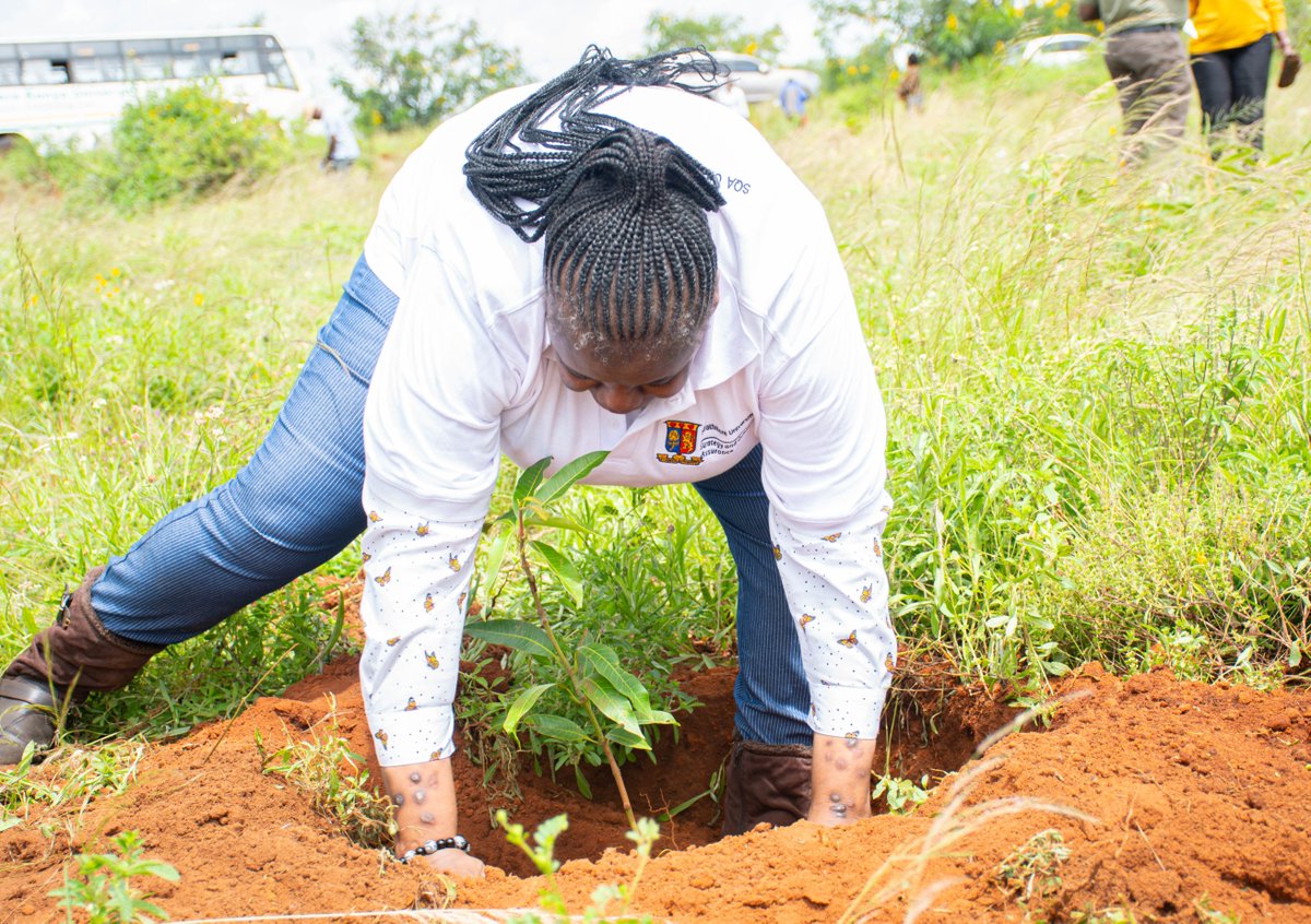 On Friday, 10th May 2024, @StrathU, in partnership with @discoverseku spent the day planting over 3000 trees - an initiative echoing our commitment to our theme of the year 'Sustainability: Caring for People and Planet.'

#Sustainability #BecauseWeCare