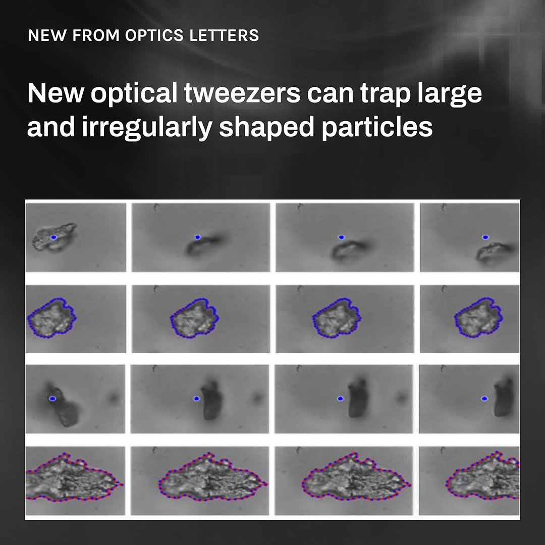 New optical tweezers trap large, irregularly shaped particles: ow.ly/INA250RFVgb By extracting the target particle's shape from images, the contour-tracking tweezers automatically shape the scanning light pattern for trapping. #OPG_OL @UTokyo_News_en #3D #technology