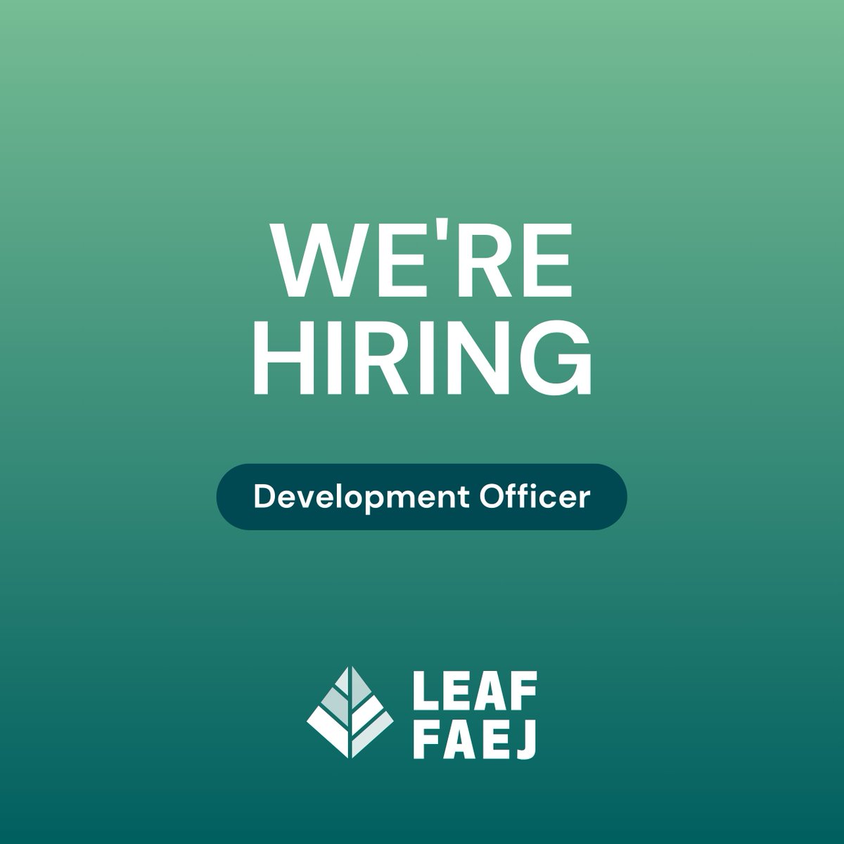 LEAF is looking for a Development Officer to join our team! This role is integral in driving LEAF’s year-round fundraising efforts that support our litigation and feminist advocacy. Learn more and apply by June 2 here: leaf.ca/news/leaf-is-h…