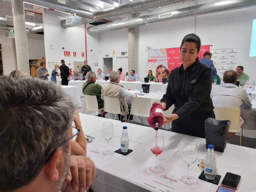 D.O. Cigales tweet media