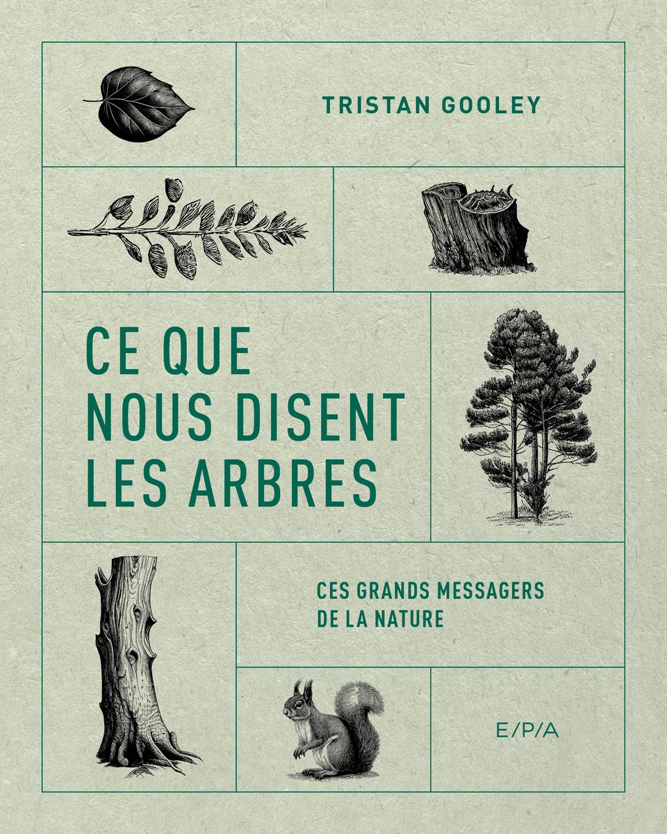 How to Read a Tree is published in France tomorrow! (Please do share with any Francophone friends) amazon.fr/que-nous-disen… @SophieHicksAg #howtoreadatree #cequenousdisentlesarbres
