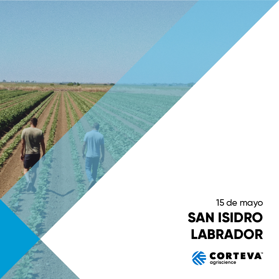 🌾✨ ¡Feliz día de San Isidro Labrador! ✨🌾 Hoy celebramos el patrono de los agricultores y de todas las personas que trabajan en este maravilloso sector. En Corteva estamos orgullosos de contribuir desde la innovación brindando soluciones sostenibles y eficientes para el campo