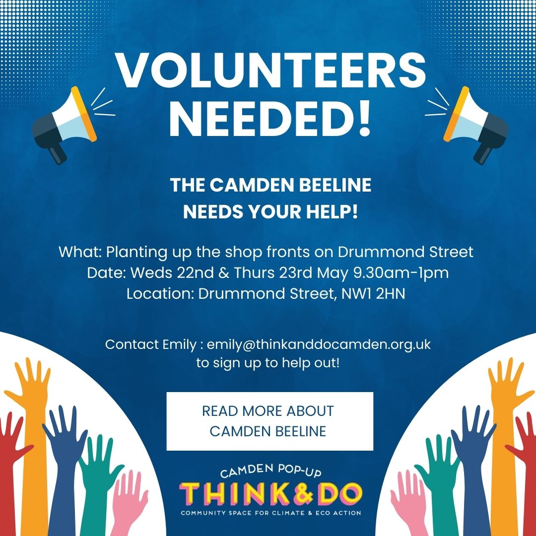 The Camden Beeline are looking for volunteers locally later this month... contact Emily: emily@thinkanddocamden.org.uk if you're interested!