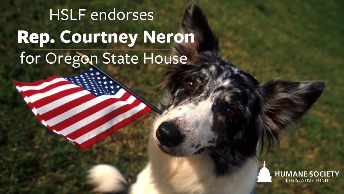 HSLF is proud to endorse Courtney Neron for #ORHouse 🙌 Rep. Neron is nothing short of a leader for animals. As she fights to crack down on puppy mills, protect our wildlife, and much more, a vote for @CourtneyForHD26 is the humane choice 🐾🗳️