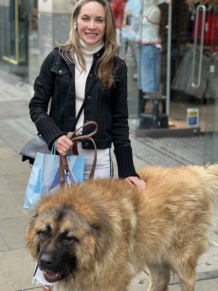 Made a new canine friend in Kensington this afternoon. Meet “Mr Bronze” a Caucasian Shepherd. Weighing in at 80 kg (vs my 47 kg), he’s so big we couldn’t both fit in the photo…