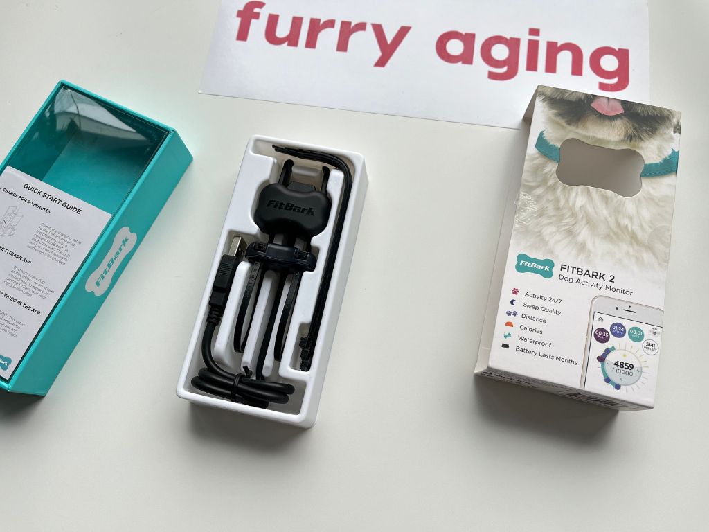Furry Aging (Senior dog care) tweet media