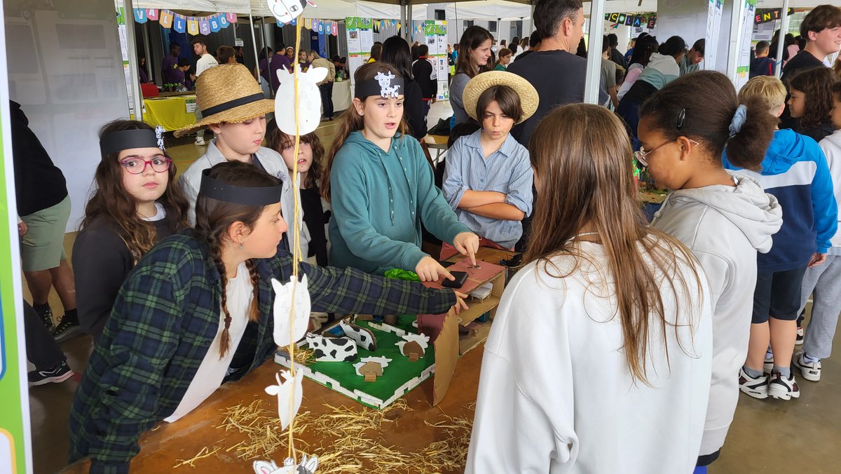 Vallèsbot tweet media