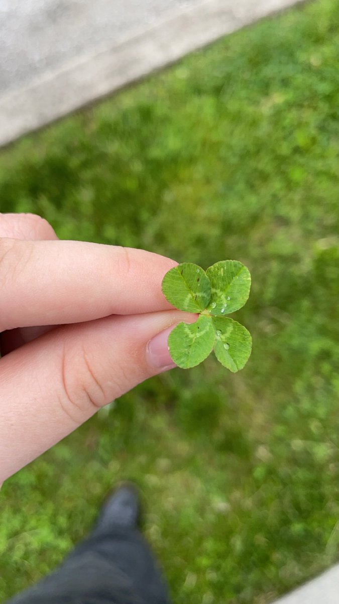 i found a four leaf clover!!