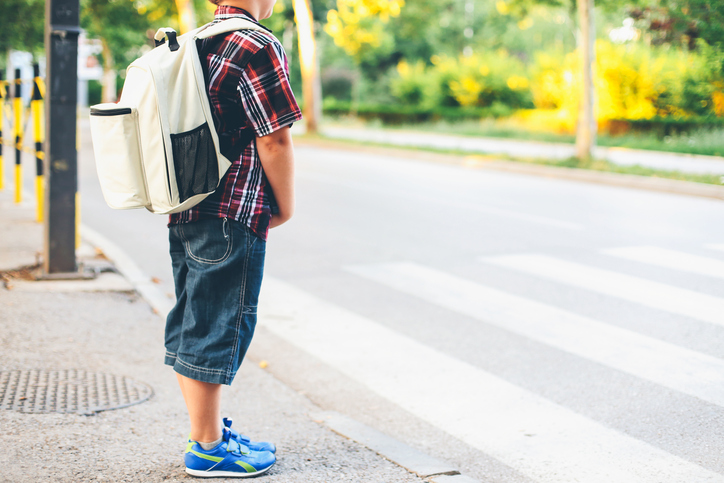 Today marks the start of #CanadaRoadSafetyWeek. To help keep your child safe when walking outside, check out these pedestrian safety tips: ow.ly/O1zT50RyEoW #CRSW2024 #PedestrianSafety