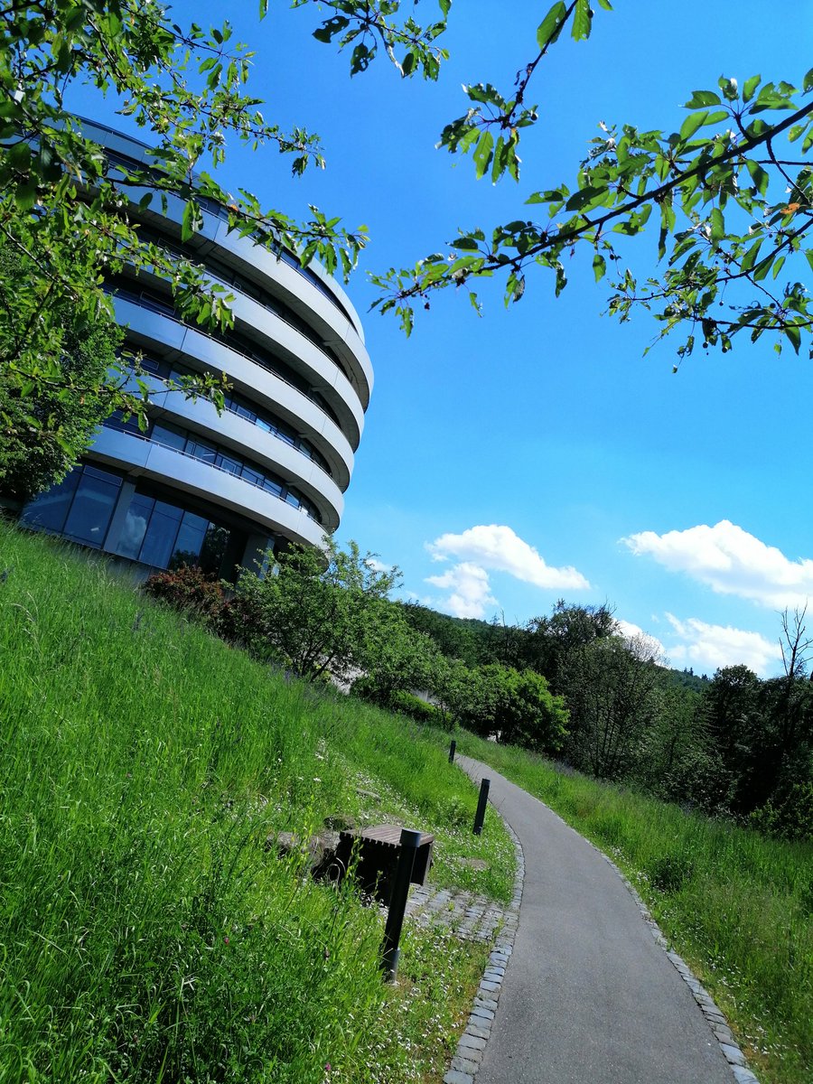 Maria39244565's tweet photo. Wonderful to be back at @embl Heidelberg for the Symposium on Cellular mechanisms driven by phase separation. Great start with Rohit Pappu 's keynote lecture. Looking forward to insightful talks and inspiring discussions!  

#EESPhaseSeparation https://t.co/X3hWx1U4Cy