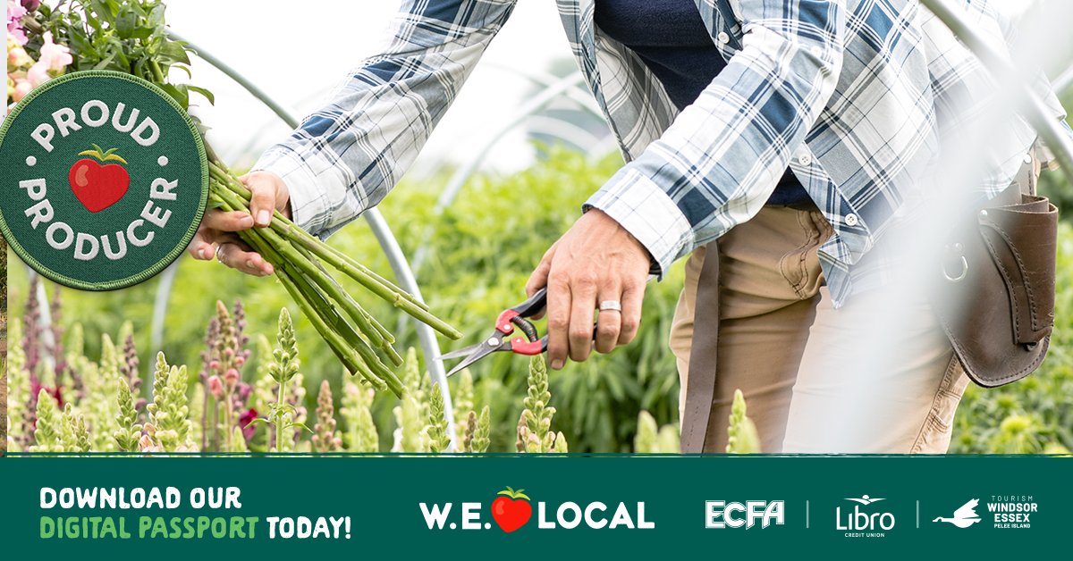 Get all the fresh details on where to shop & support local in Windsor Essex. Check out weheartlocal.ca and click ‘Shops’ for where to buy fresh produce, meats, specialty cheeses and more! #WEHeartLocal