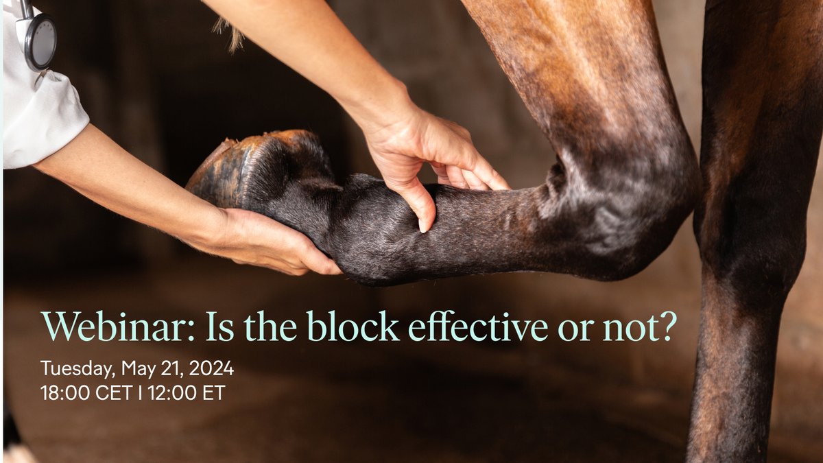 Have you signed up for our webinar on diagnostic analgesia yet? Join our expert veterinarians as they share their experiences of diagnostic puzzles and the use of gait analysis in evaluating blocks. In collaboration with SMDC Clinic and Tierklinik Lüsche: sleip.co/web