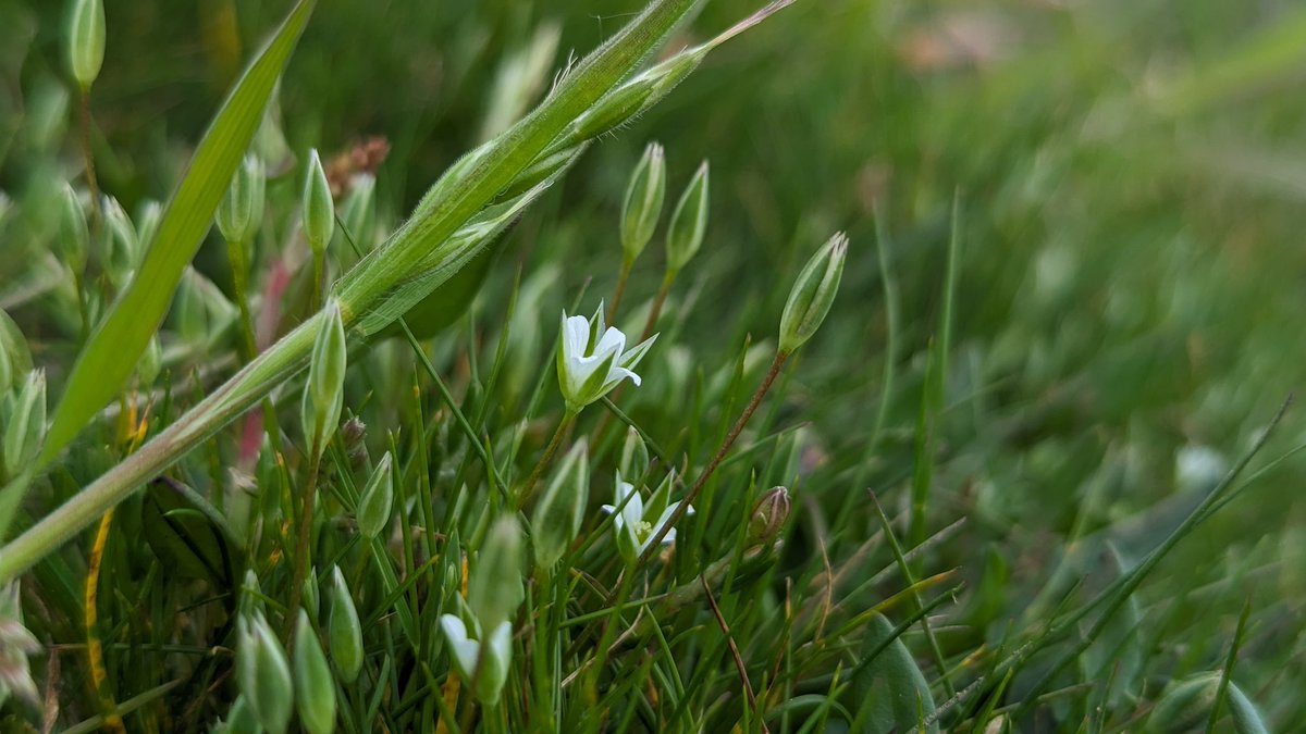 Tom Ward tweet media