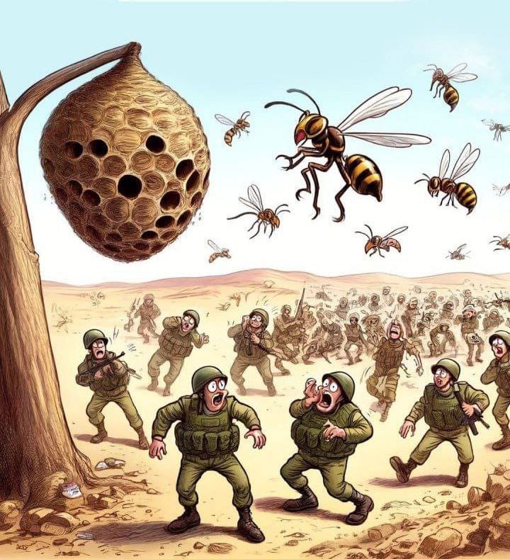 اے مسلم حکمرانو ان  مکھیوں سے کچھ سبق سیکھ لو ان کے گھروں پر حملہ ہوا تو یہ متحد ہو کر دشمنوں پر ٹوٹ پڑی
#ghaza