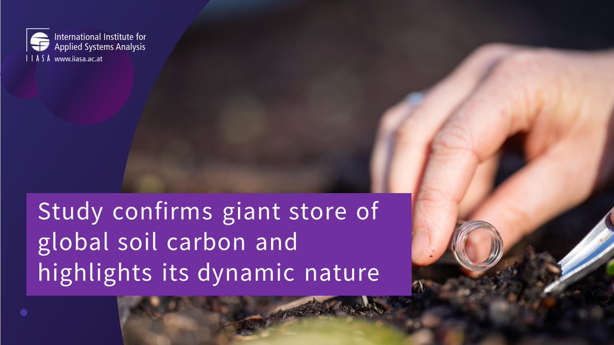 🌱A recent @ScienceMagazine study confirmed a massive store of soil inorganic carbon worldwide, challenging traditional views. Find out how this dynamic carbon pool impacts #climate, #ecosystems, and our future. 
👉iiasa.ac.at/news/may-2024/…
#SoilCarbon #ClimateScience