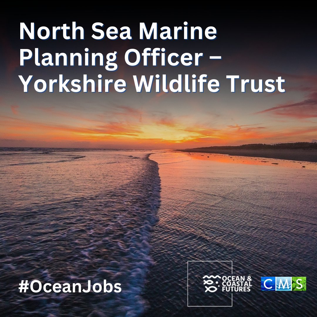 🔔new #job: North Sea Marine Planning Officer – @YorksWildlife ▪️Closes: 9 June ▪️Location: York, Doncaster or Flamborough ▪️Salary: £31k-£34k ▪️Full details 👉cmscoms.com/?p=39195 🔍Sign up for our #OceanJobs emails here 👉 bit.ly/3MiyV7i #hiring #vacancy