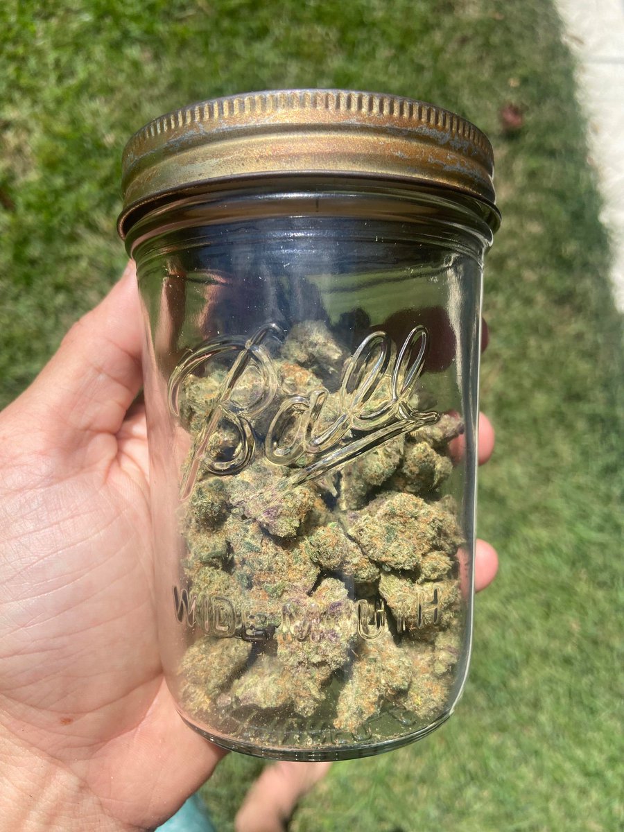 Zito 🐐💨🎖️ tweet media