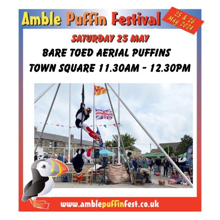 The puffins are back and so are @BareToedDance. Workshops to try out flying like a puffin!