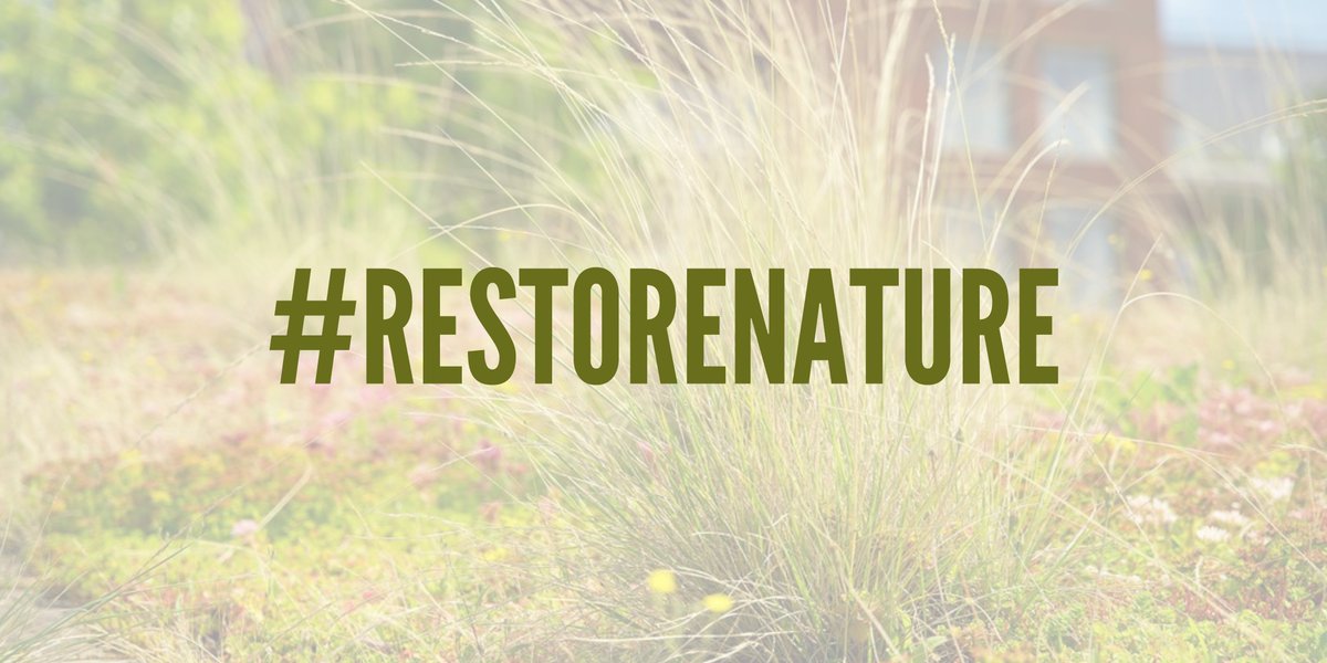 🚨 EU Environmental Ministers unite to support the Nature Restoration Law by signing a letter calling opposing countries to reconsider their stance. 👉 From WGIN, we urge the EU Council to ensure the adoption of the NRL. Read the letter: bit.ly/4bBpAUm