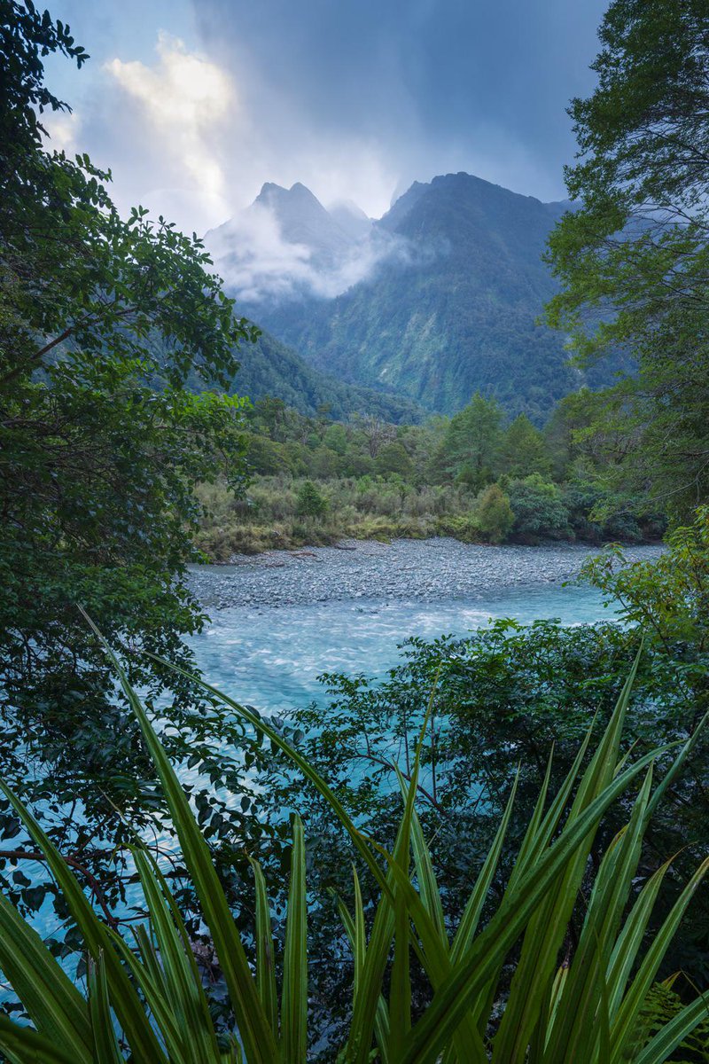 'Peaceful stroll through Fiordland, New Zealand'