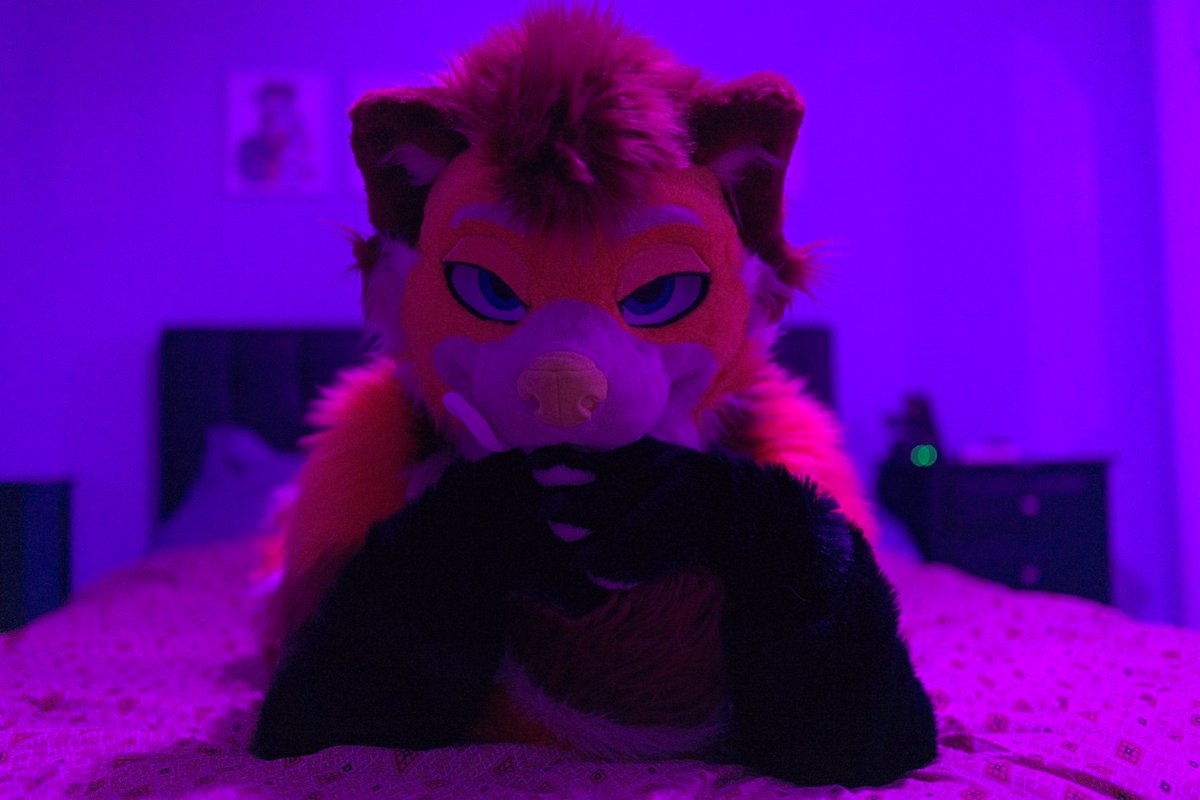 ⚠️ Trade offer received ⚠️
I get:
Snuggles
You get:
Snuggles

📸: <a href="/EmmettRaccoon/">Emmett Raccoon</a> 

#ringtailtuesday
#fursuit