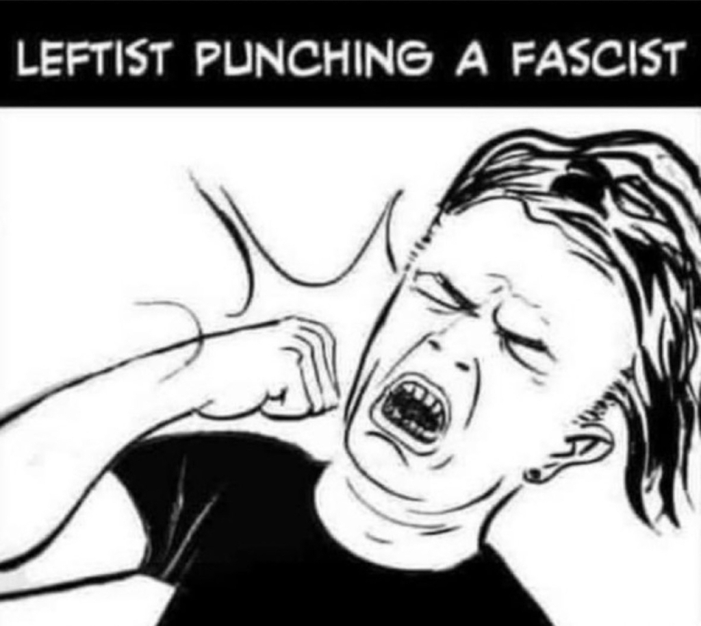 Dynamic Photo of a Leftist Punching a Fascist Below... 

Pass it on...