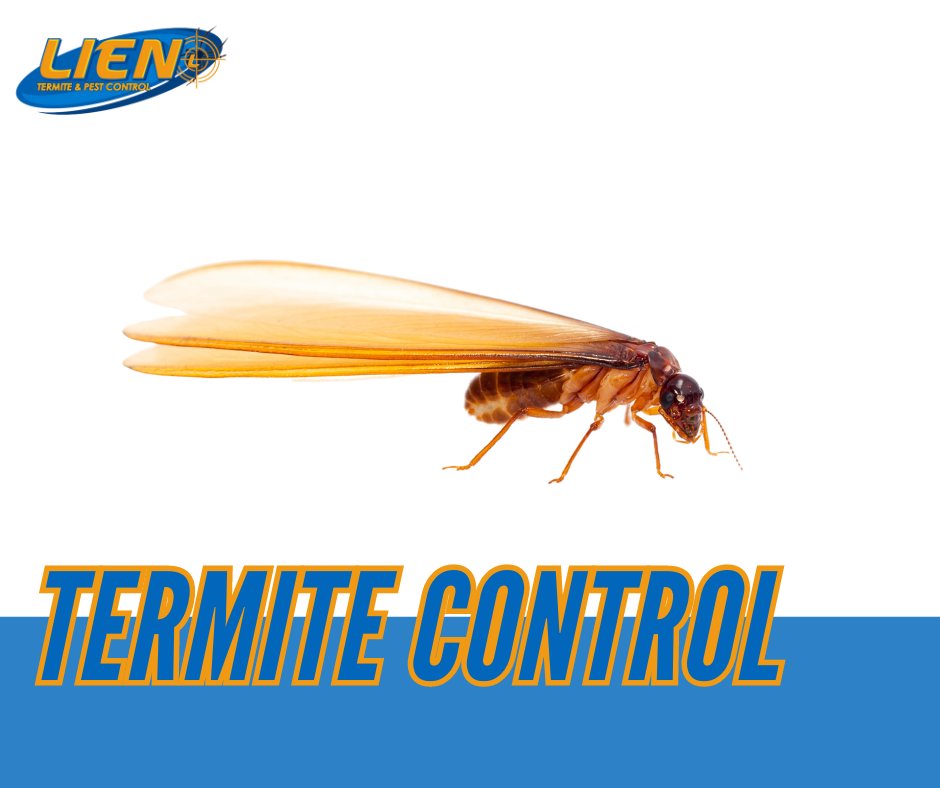 With swarm season in full swing, we're here to help safeguard your space from termite infestations! Reach out to us today if you have a residential or commercial property that needs help keeping termites at bay. #termites #swarmertermite #lientermite #lienonus