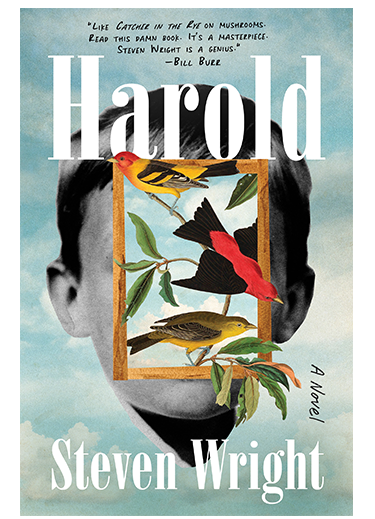 My book, Harold, is out now in paperback.  If you read it I hope you enjoy it.

Also, have a nice day.

simonandschuster.com/books/Harold/S…