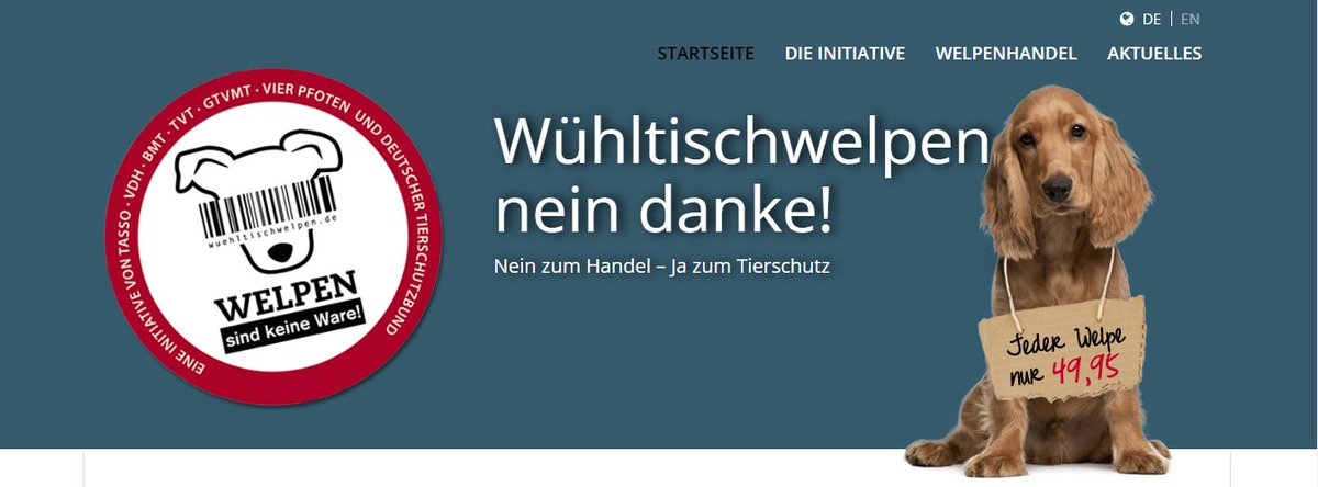 Wühltischwelpen - nein danke!, über den illegalen #Welpenhandel und was die Aktivisten von  @VIERPFOTEN dagegen unternehmen, kam grad bei @ZDF #HalloDeutschland ein Beitrag, bitte #AdoptierenStattKaufen, #AdoptDontShop. Gilt für ALLE Haustiere.
🐶🐶🐶💖💖
wuehltischwelpen.de