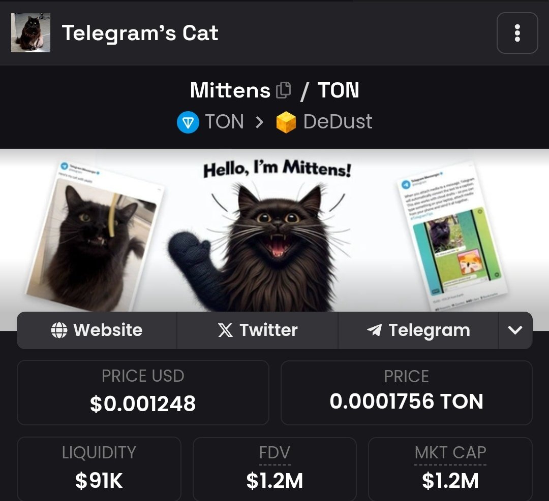 $toshi is Brian's armstrong cat & it  did over 300mil marketcap on base, #Coinbase is a big thing but #Telegram is bigger imo. #Mittens is telegram cat we gonna see, easy 100mil marketcap. Strap in for the ride. @Mittenstonchain

#memecoin #Solana #Crypto #Notcoin #TON #TONCOIN