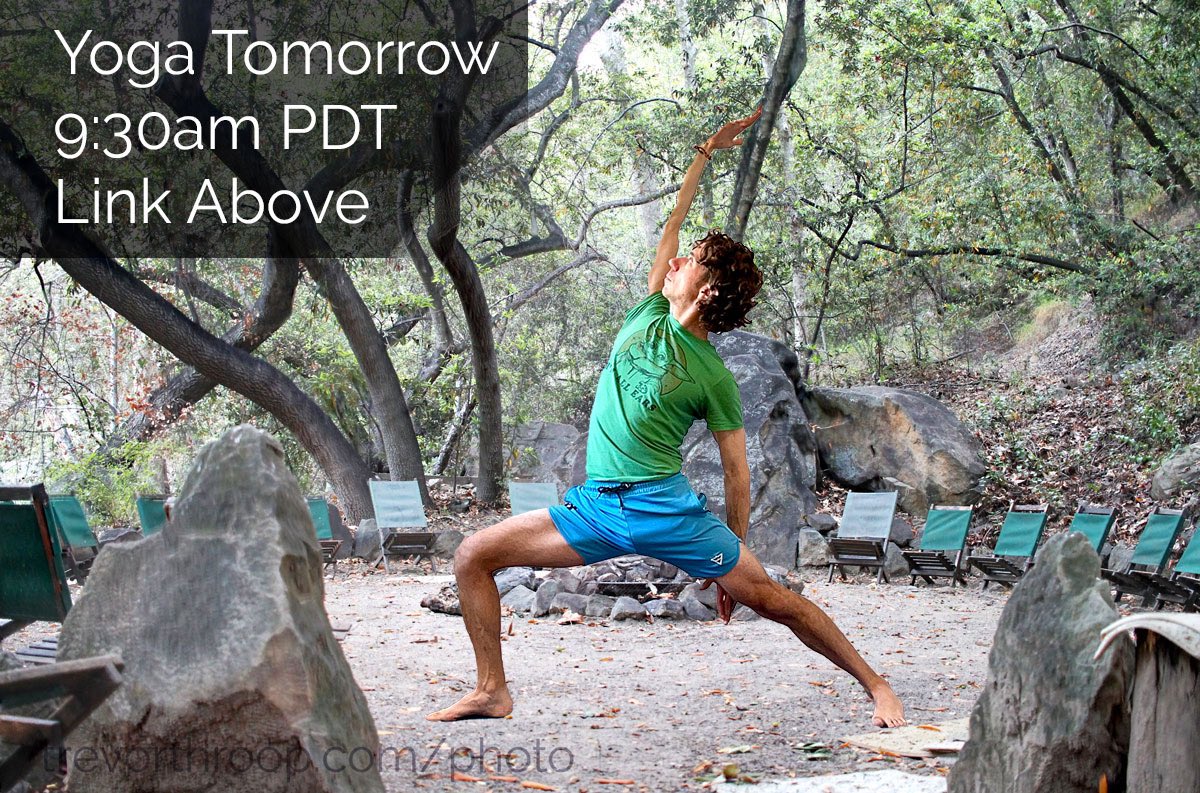 Make space for yourself. Practice Yoga with me tomorrow at 9:30am PDT 🔺 eventbrite.com/e/trevors-zoom… 🔺 #streamingyoga #onlineyoga #yogateacher #yogaclass #donationyoga #mixedlevelyoga #reversewarrior