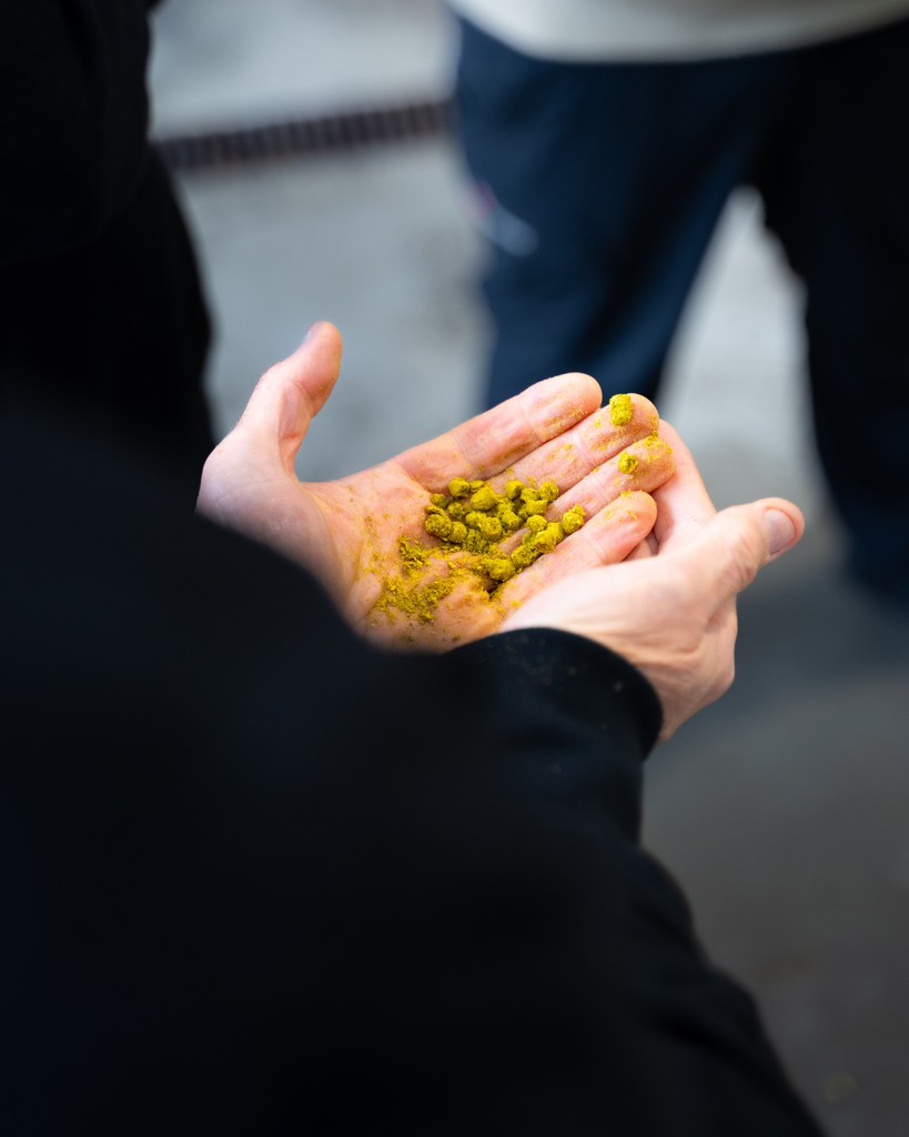 We've been exploring with new hops to find new flavours and aromas to venture into as we continue to work hard in delivering hop forward ales that are accessible to all. We can't wait to share more on this soon! #360brewco #drinklocal