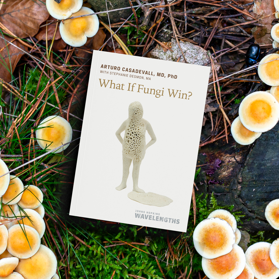 'What If Fungi Win?' by @ACasadevall1 and @sdesmon describes the beneficial roles of fungi along with their mischievous and deadly impacts and illustrates how committed experts are researching ways to save us and our food supplies. 🍄 press.jhu.edu/books/title/53…