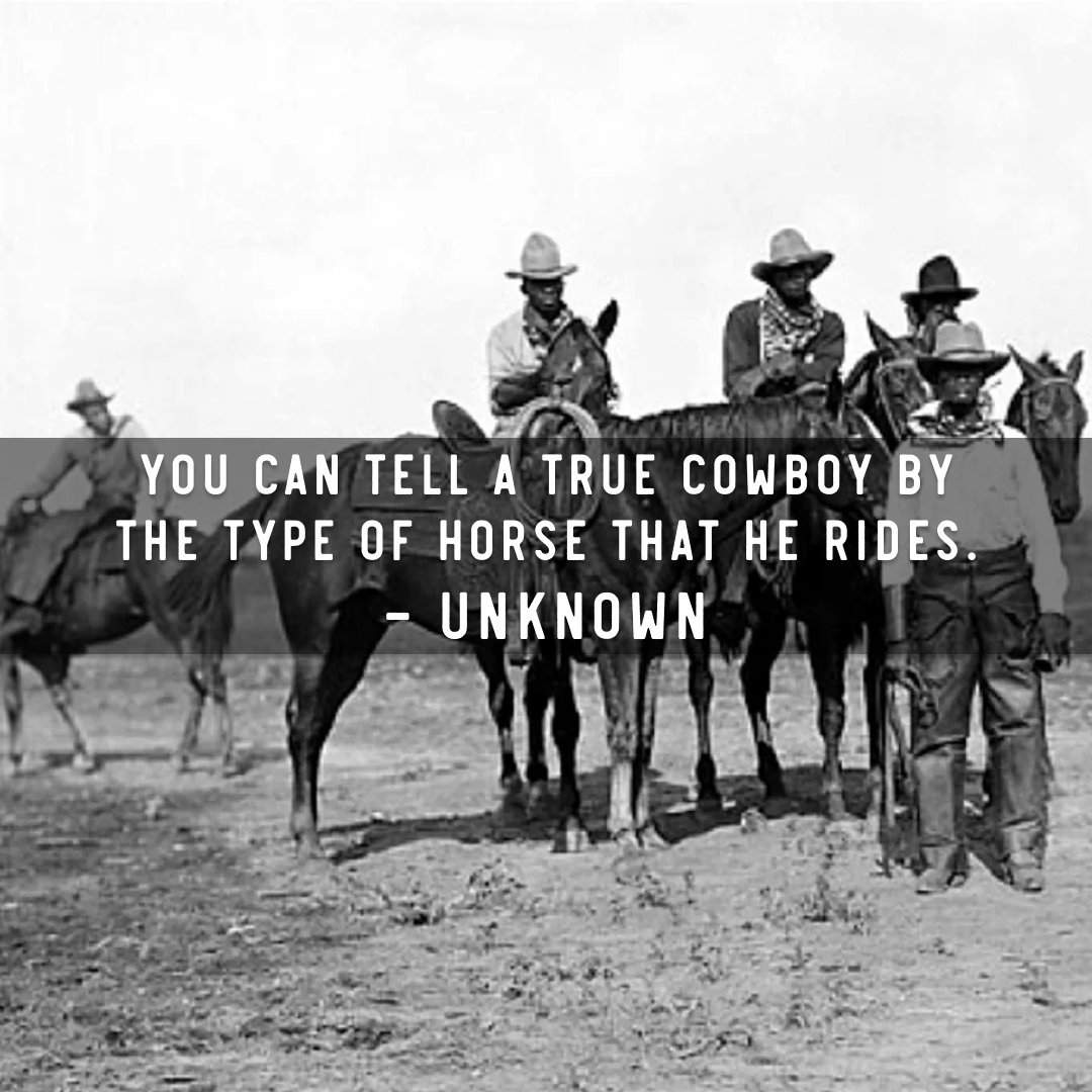 You can tell a true cowboy by the type of horse that he rides. 🐎 #cowboy #horse #westernlife