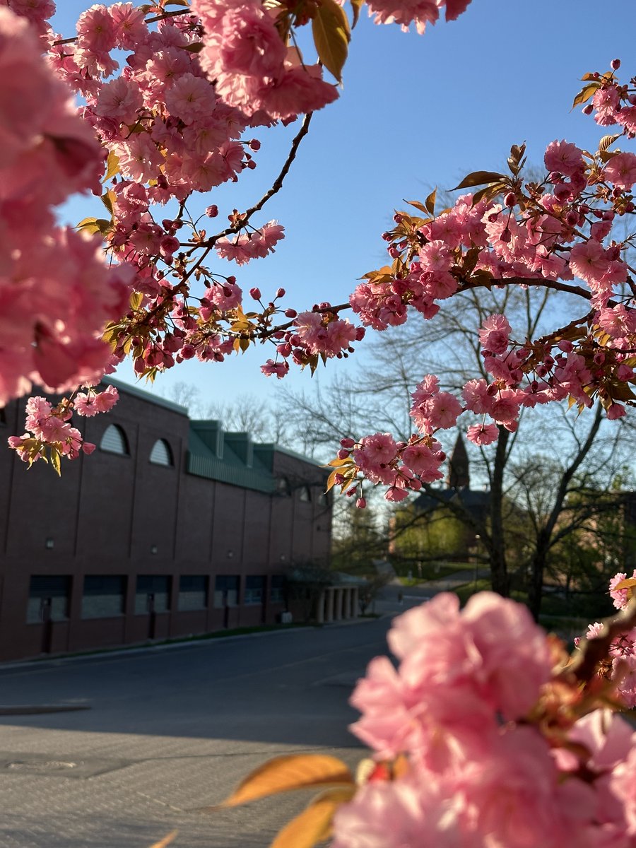 What a beautiful campus we have! #TogetherWeArePinkerton
Photo credit - L. Desmarais '87