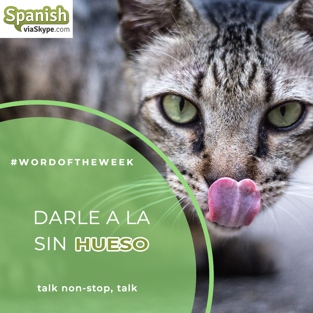 Meet the #wordoftheweek: HUESO

DARLE A LA SIN HUESO

#WordOfTheWeek #learnSpanish #spagnolo #espanol  #西班牙語 #Spanish #Spanische  #Espagnol #الأسبانية #Summer