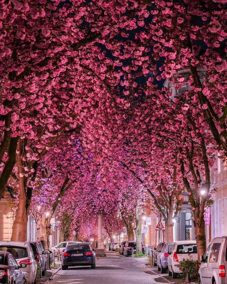 Bonn, Germany