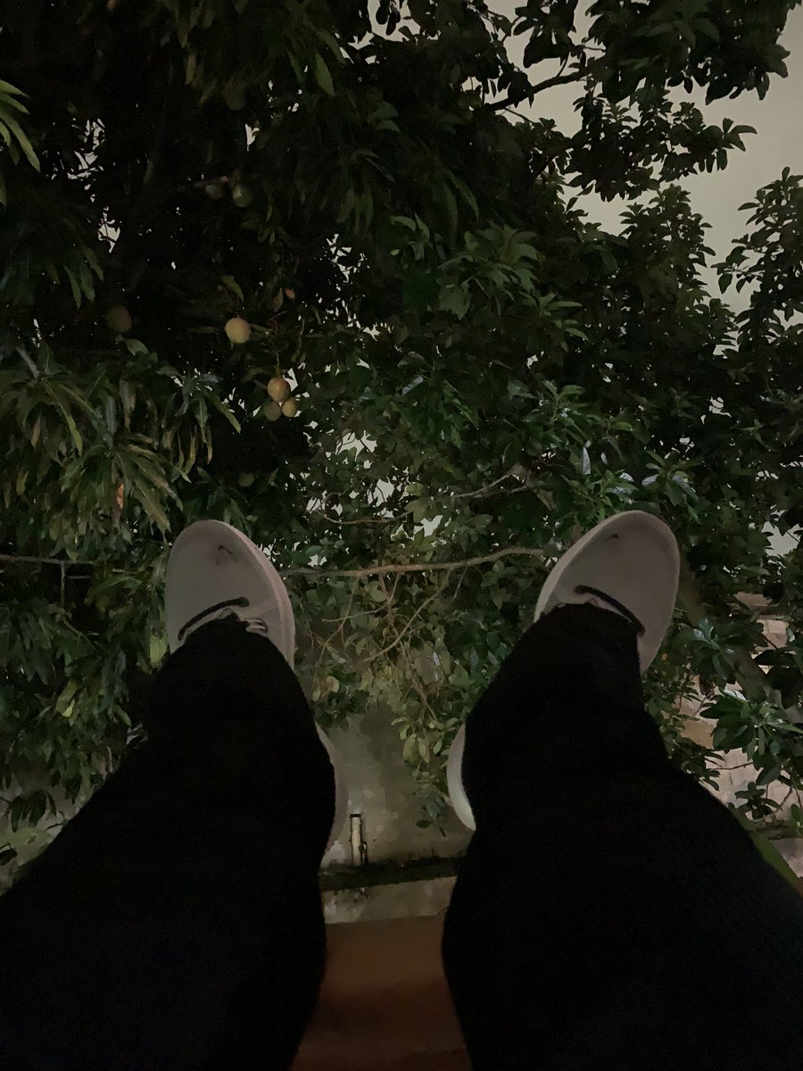 🥭