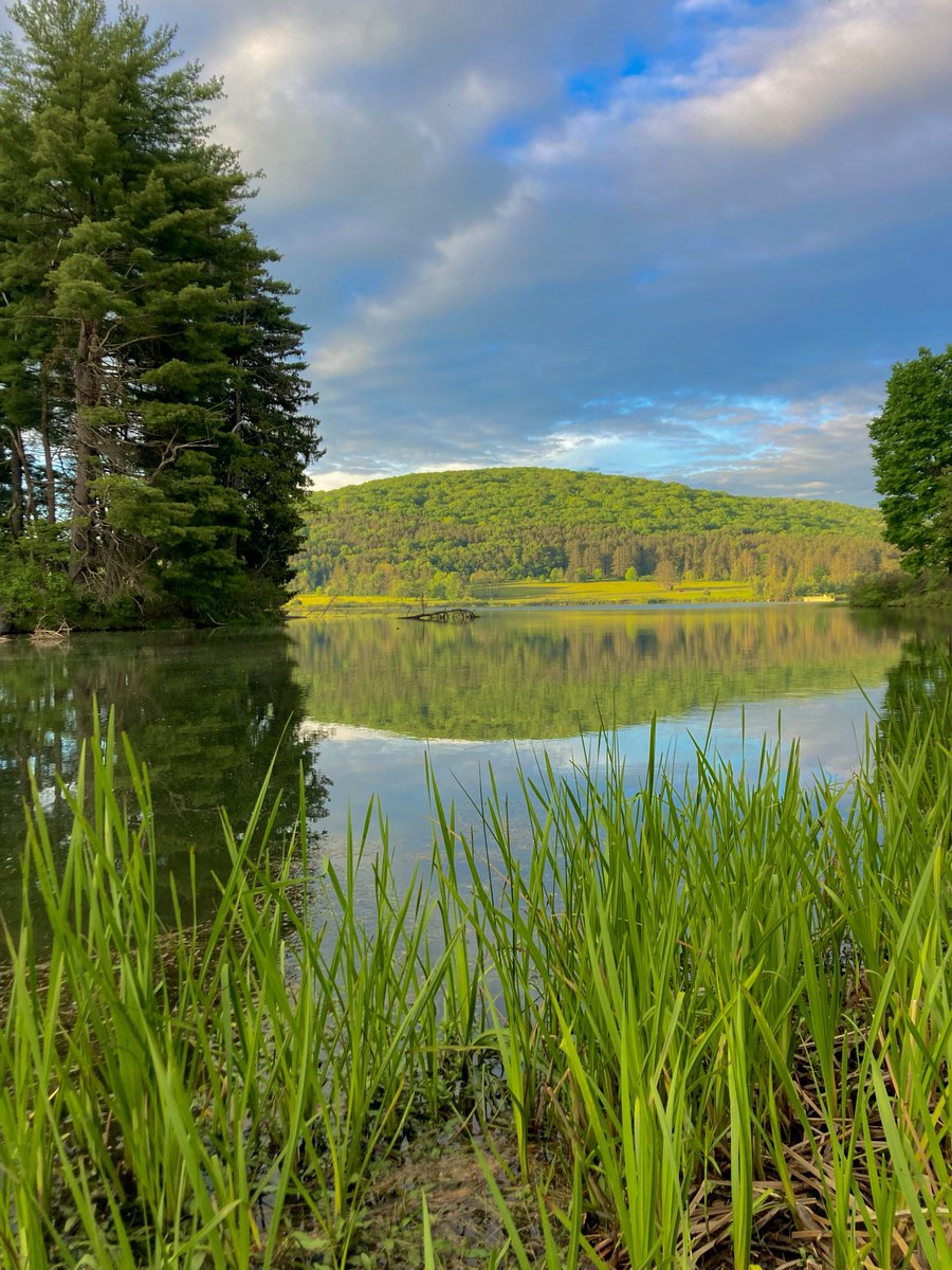 A slice of paradise in New York State! 📍 Allegany State Park, Salamanca 📷 Kathryn Lapadat