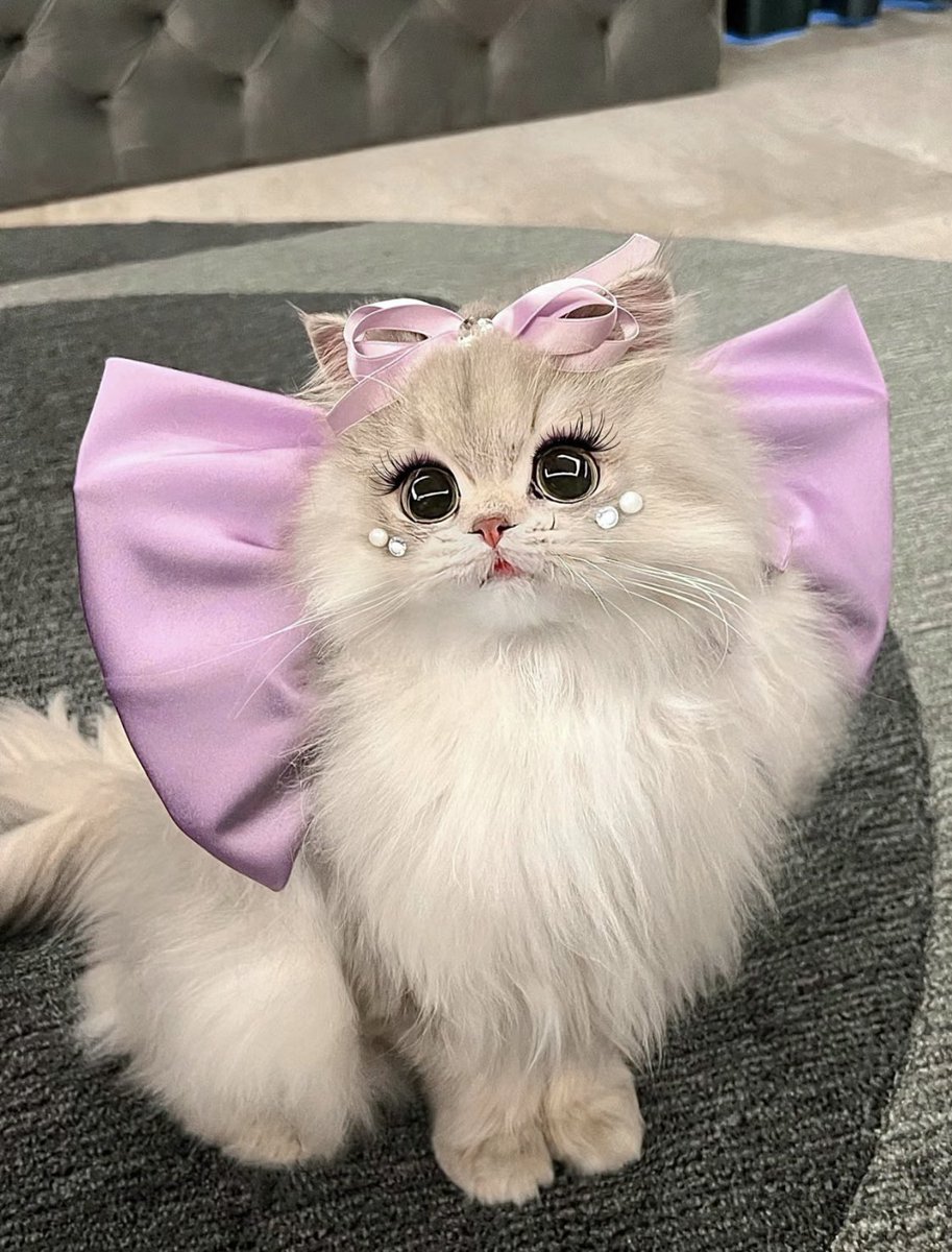 แค่ไปกิมกะเต่วแต่งตุวง่ายๆนะคับ                                   ง่ายแล่วค่ะ